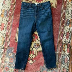 Everlane The High Rise Skinny Jean 31 Ankle